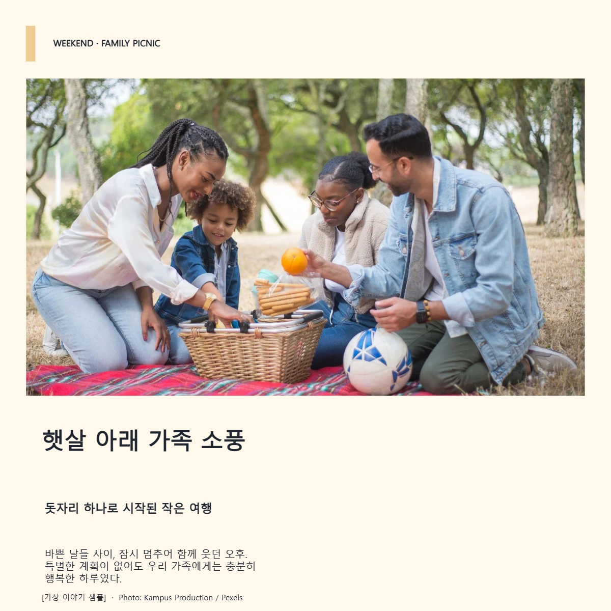 햇살 아래 가족 소풍의 공개 대표 이미지