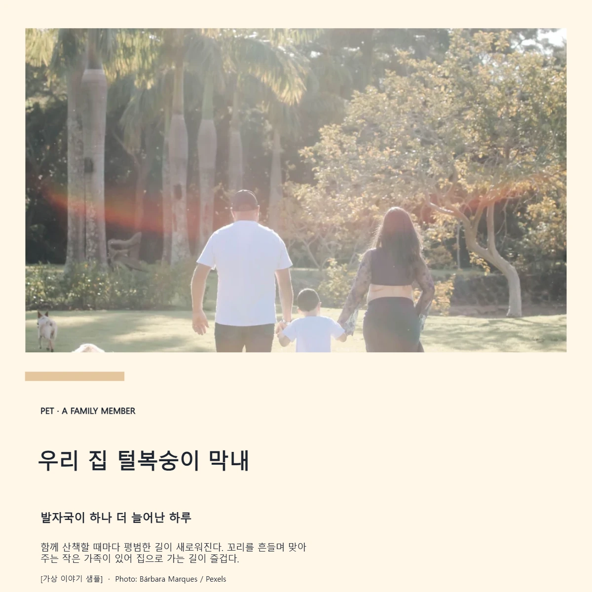 우리 집 털복숭이 막내의 공개 대표 이미지