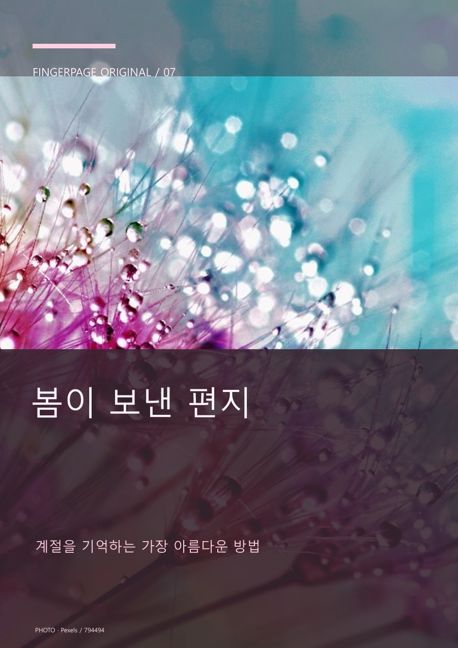 봄이 보낸 편지의 공개 대표 이미지