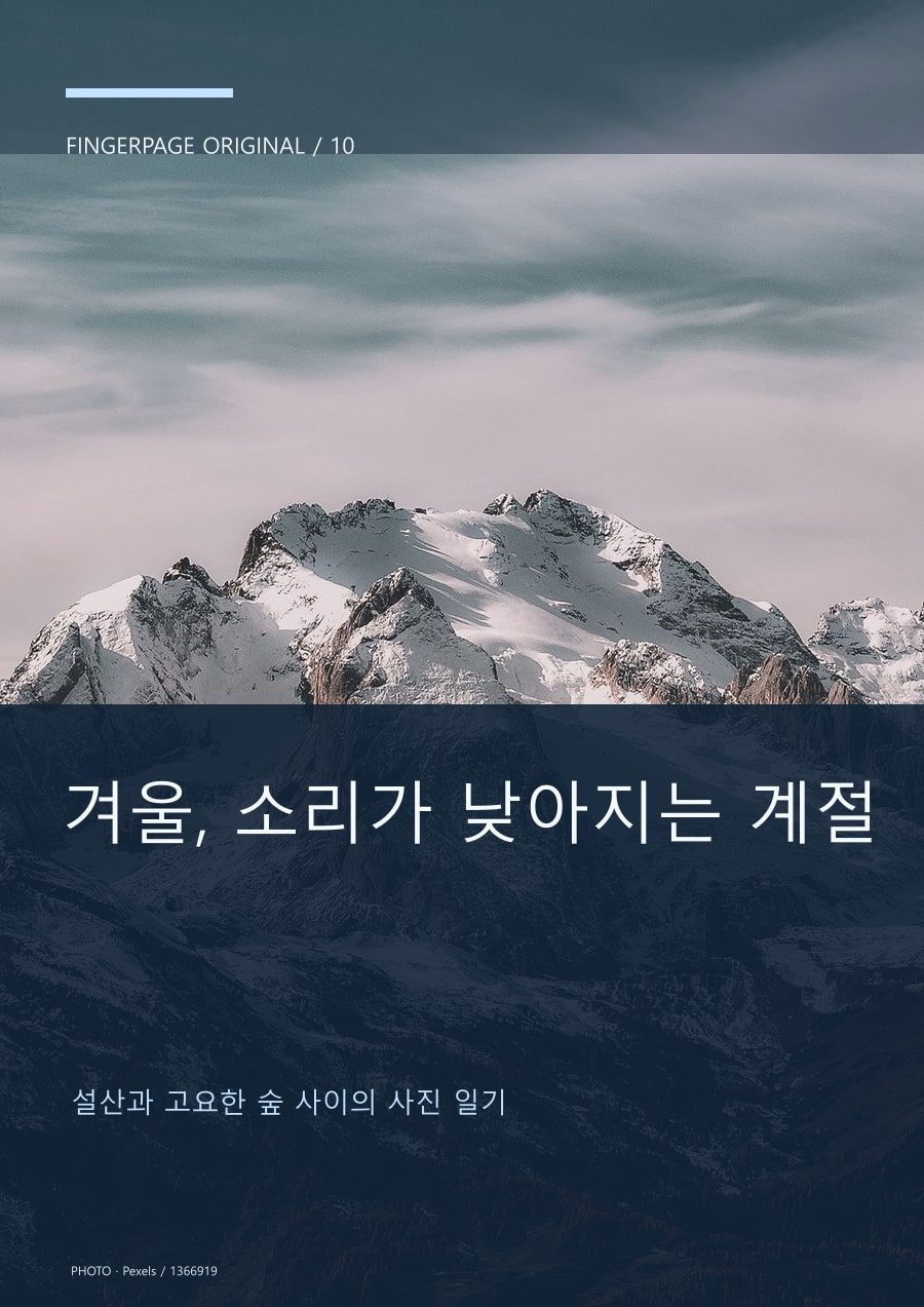 겨울, 소리가 낮아지는 계절의 공개 대표 이미지