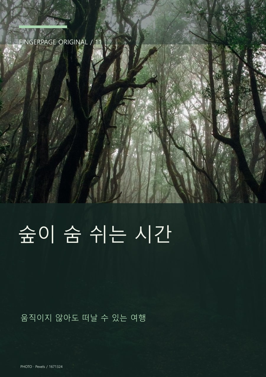 숲이 숨 쉬는 시간의 공개 대표 이미지
