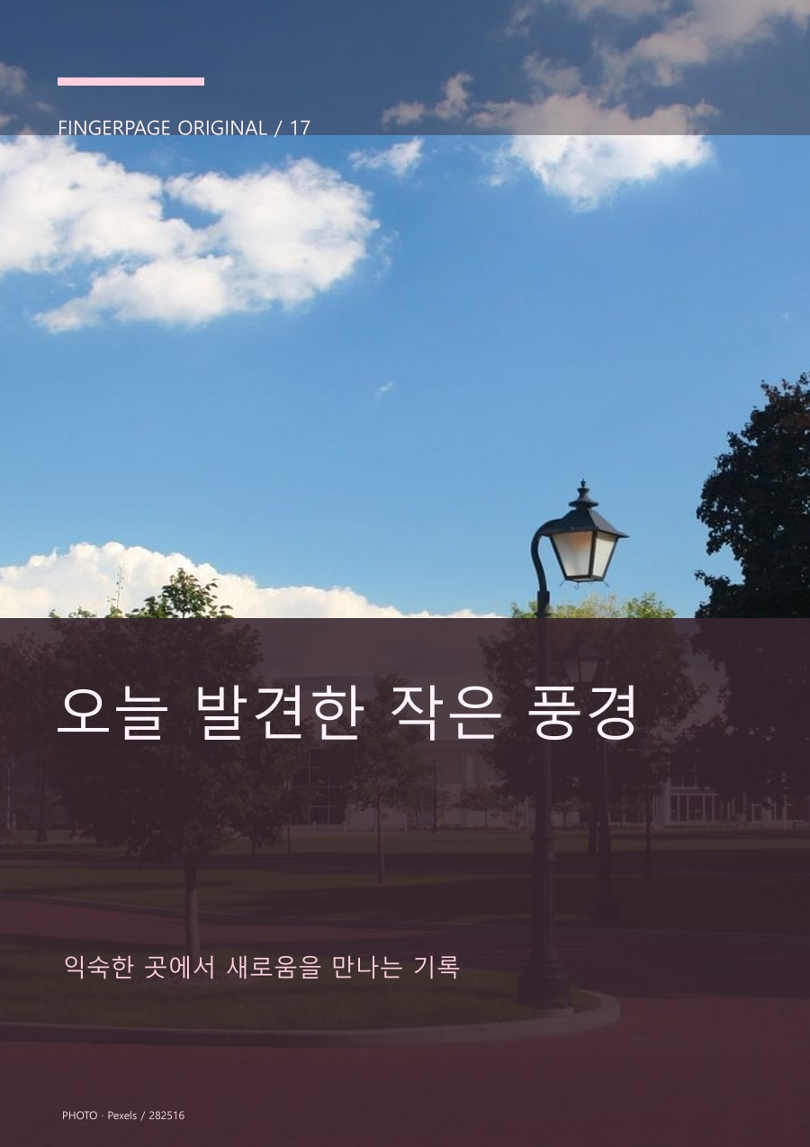 오늘 발견한 작은 풍경의 공개 대표 이미지