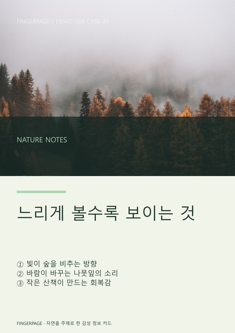 숲에서 배운 세 가지의 공개 대표 이미지